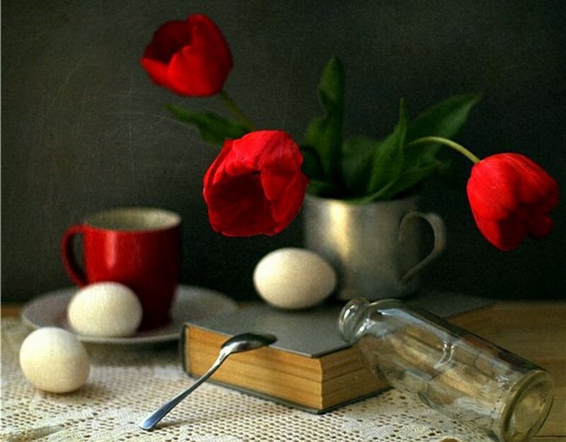 Red Tulips in a Cup