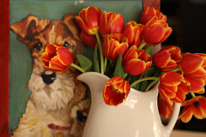 Red Tulips in a Pitcher — Calm, Photograph