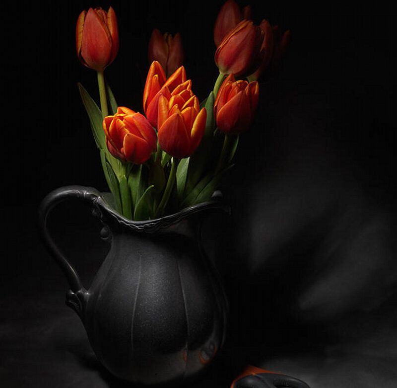 Red Tulips in a Pitcher