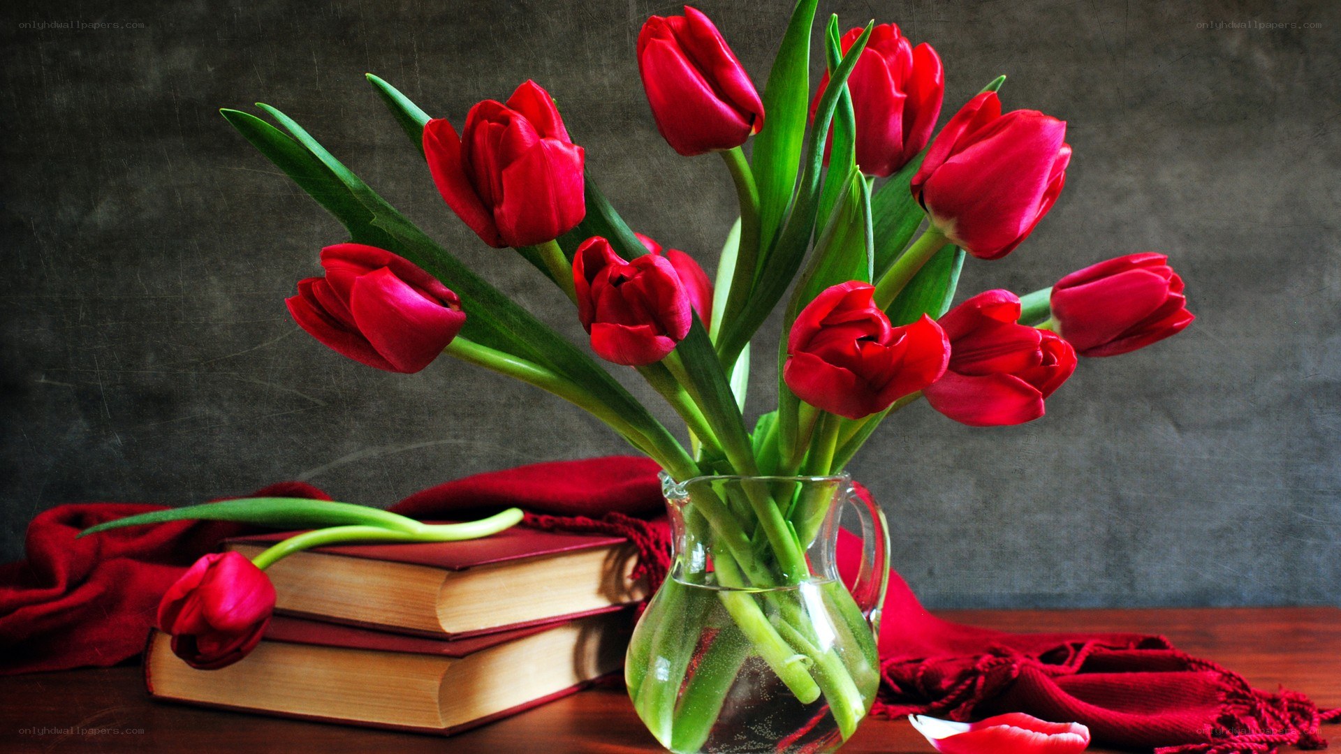 Red tulips in a vase