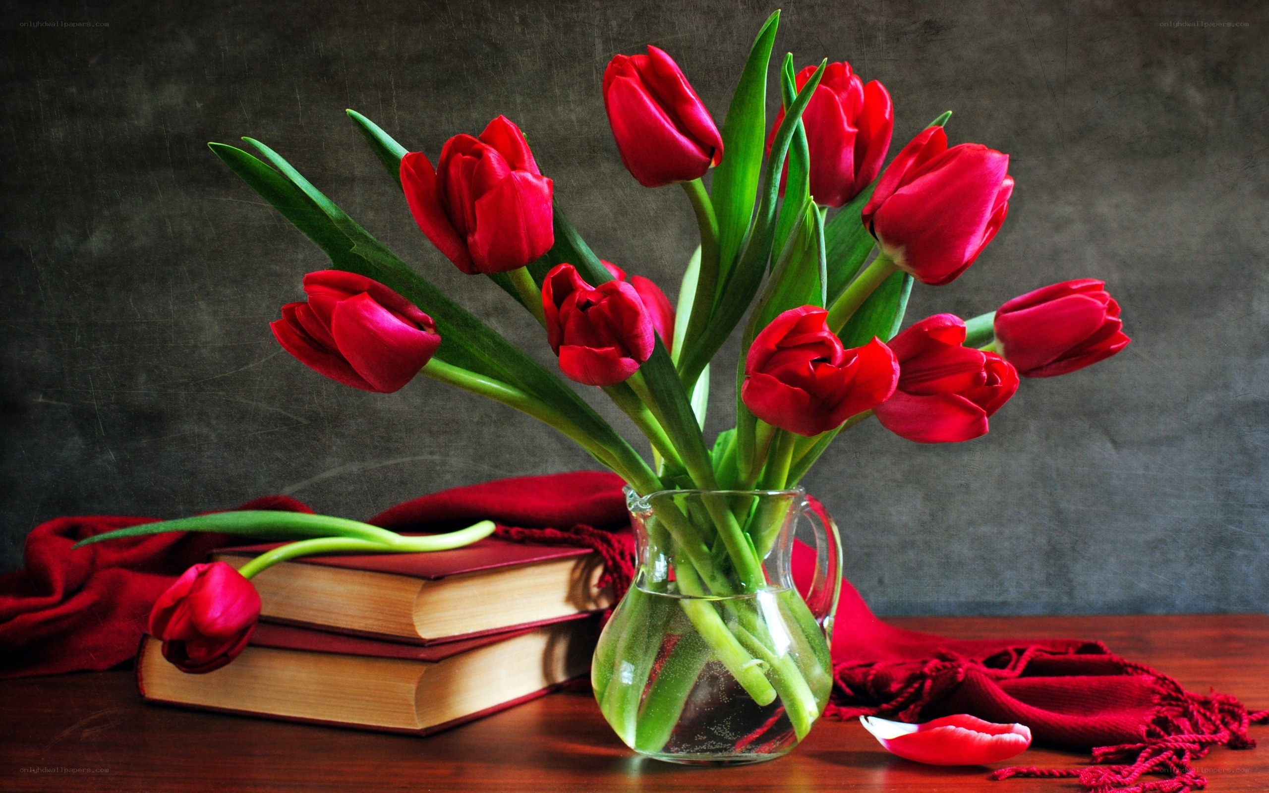Red tulips in a vase