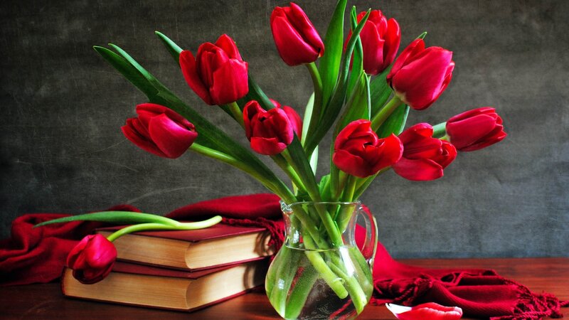 Red tulips in a vase