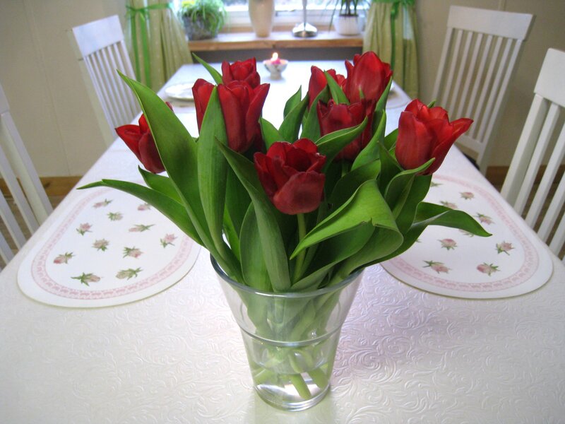 Red Tulips in a Vase — Calm, Morning