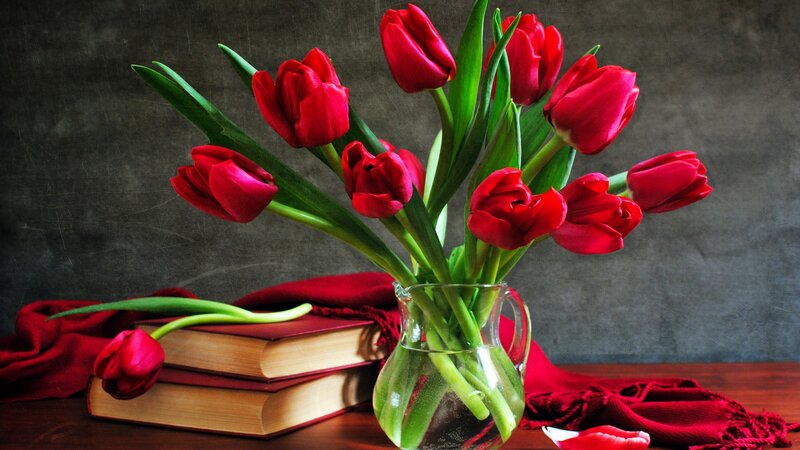 Red Tulips in a Vase — Calm, Photograph, Books, Scarf