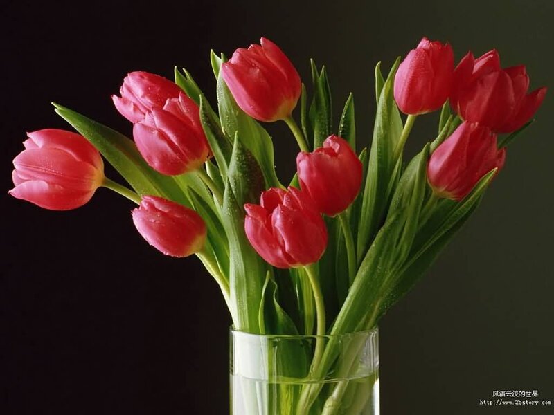 Red Tulips in a Vase — Calm, Photograph, Green Leaves