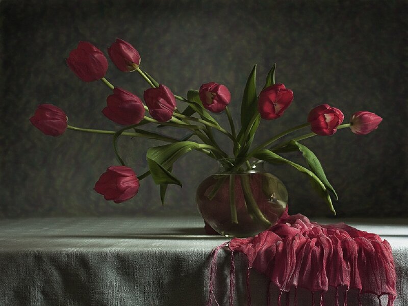 Red Tulips in a Vase — Dramatic, Photograph, Scarf