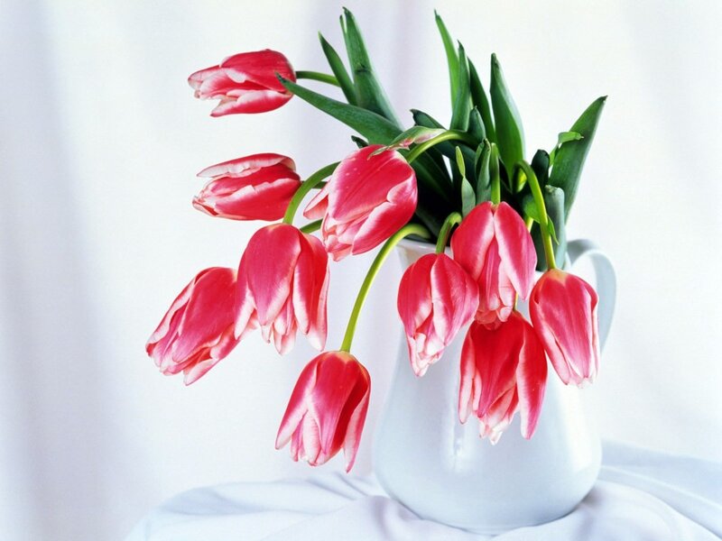 Red Tulips in a Vase — Serene, Photograph, Green Leaves
