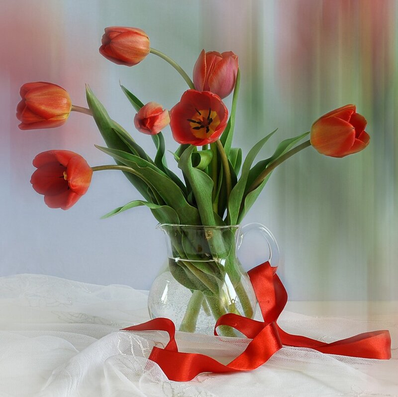 Red Tulips in a Vase — Serene, Photograph, Ribbon