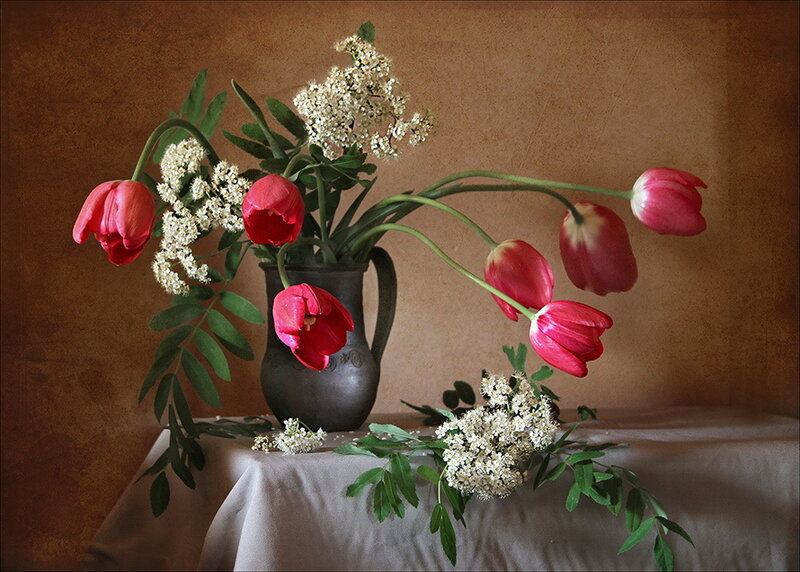 Red Tulips in a Vase — Serene, Photograph