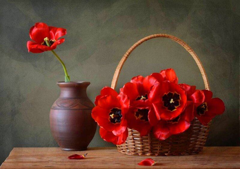 Red Tulips in Basket — Calm, Photograph, Vase