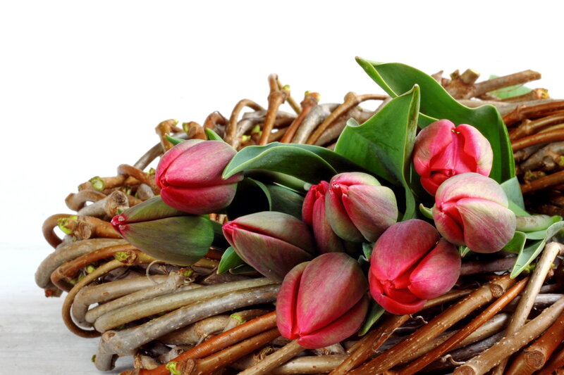 Red Tulips in Basket — Calm, Spring, Photograph, Leaves