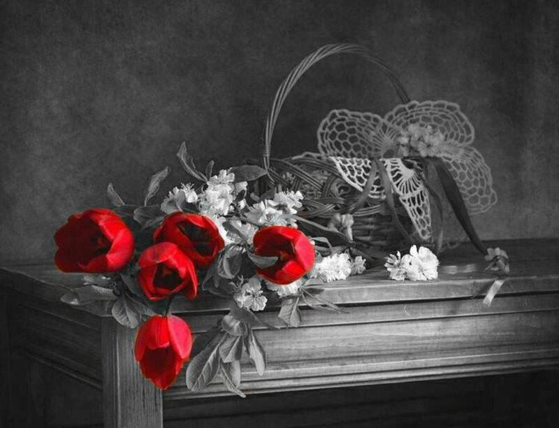 Red Tulips in Basket — Dramatic, Photograph, Flowers