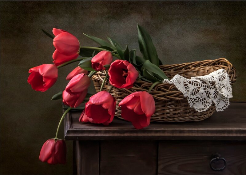 Red Tulips in Basket — Still Life