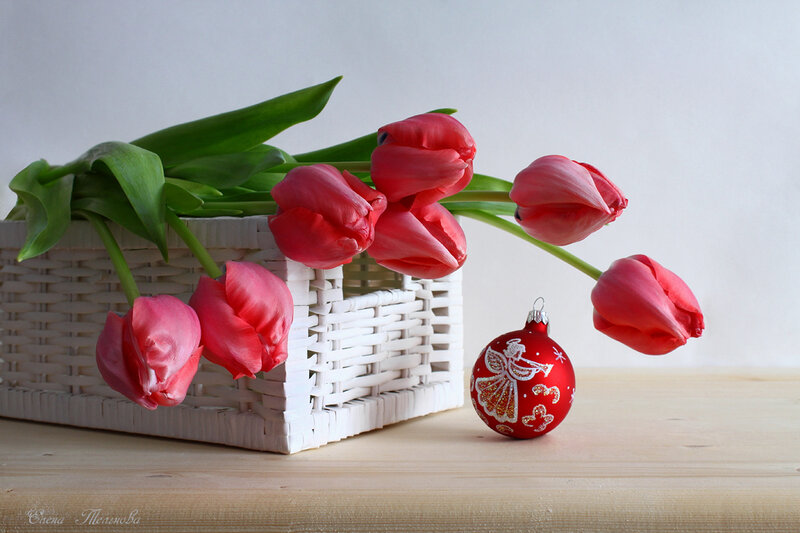 Red Tulips in Basket