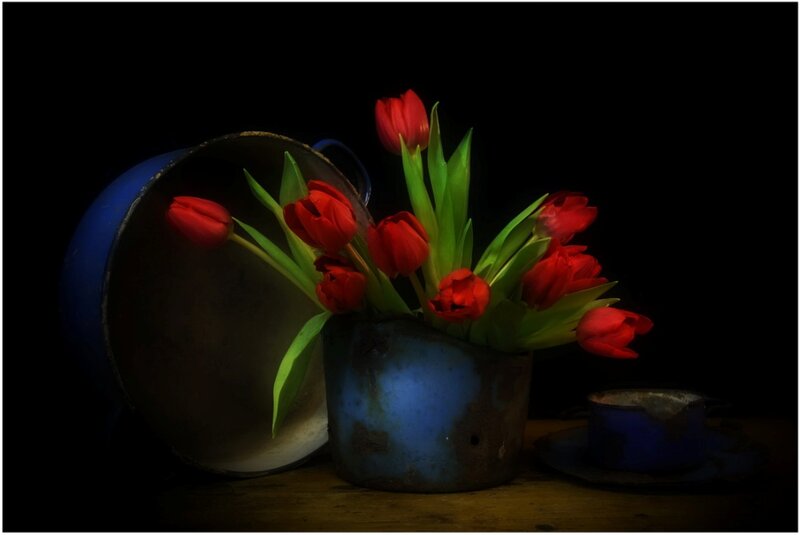 Red Tulips in Blue Pot