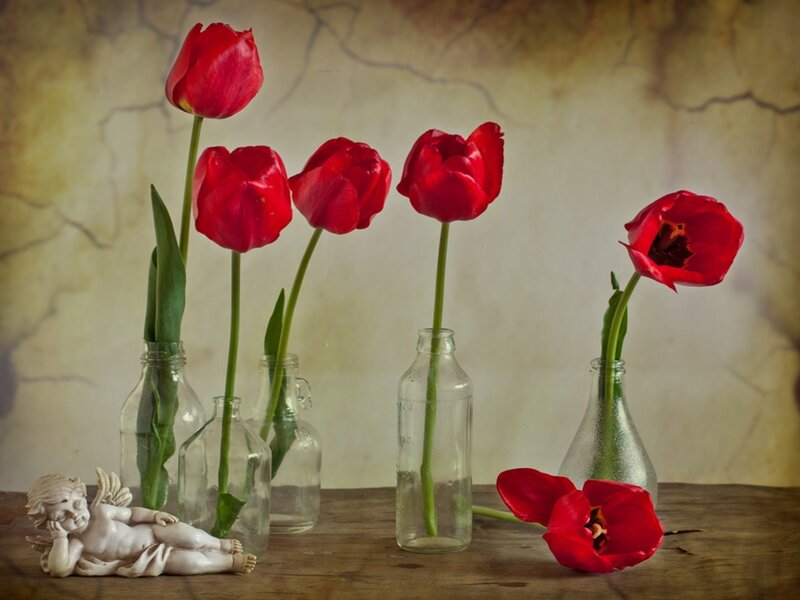 Red Tulips in Bottles