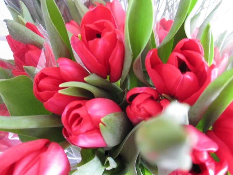 Red Tulips in Bouquet — Calm, Photograph, Green Leaves, Plastic Wrap
