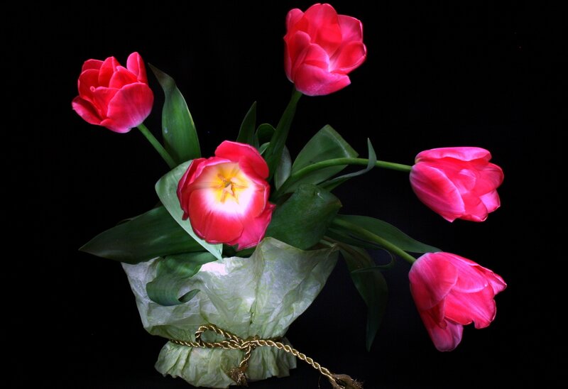 Red Tulips in Bouquet