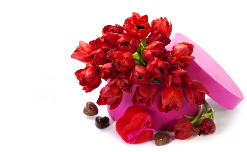 Red Tulips in Box