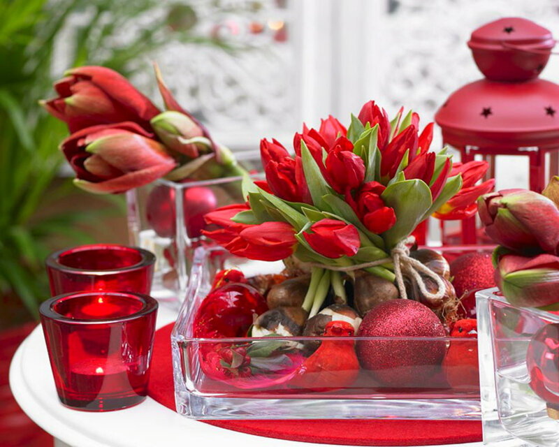 Red Tulips in Glass Bowl — Festive