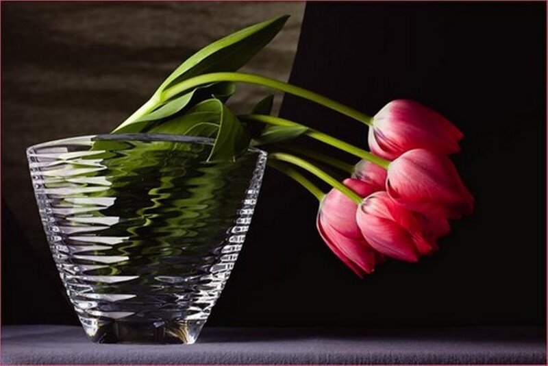 Red Tulips in Glass Vase