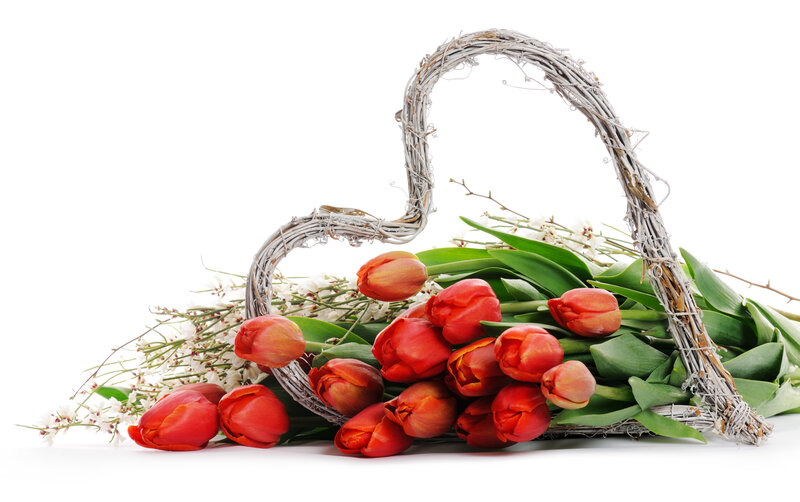 Red Tulips in Heart Basket
