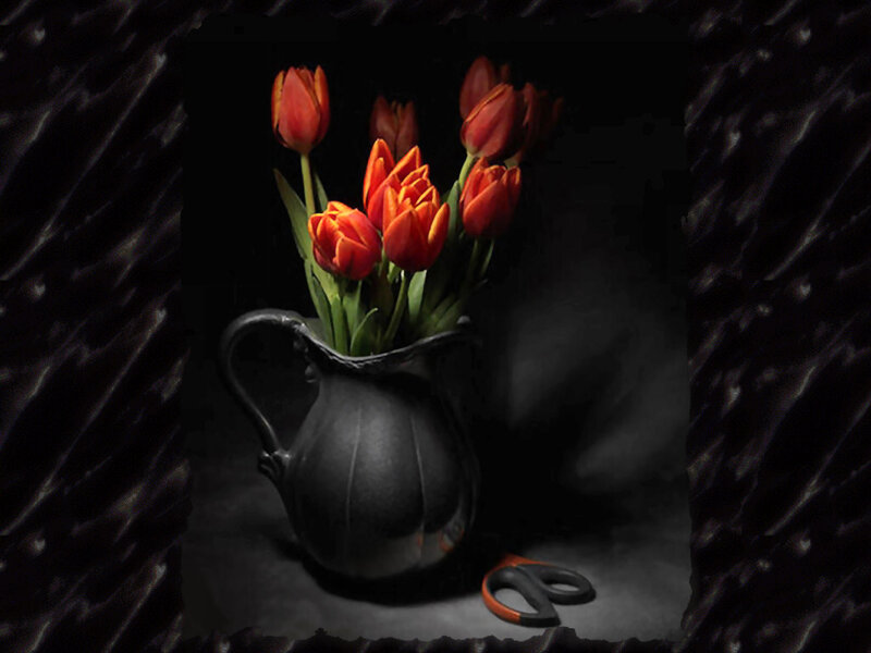Red Tulips in Pitcher — Black