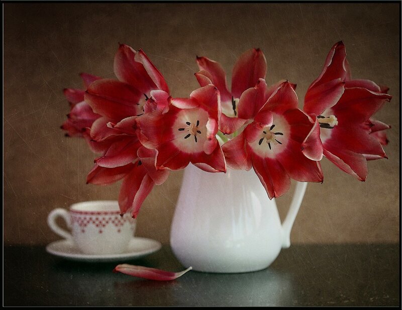 Red Tulips in Pitcher — Calm