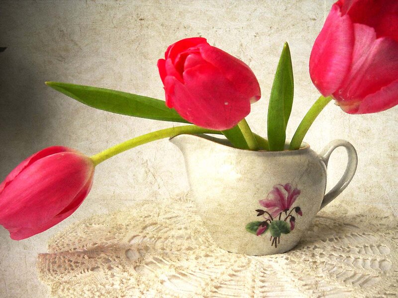 Red Tulips in Pitcher — Pink