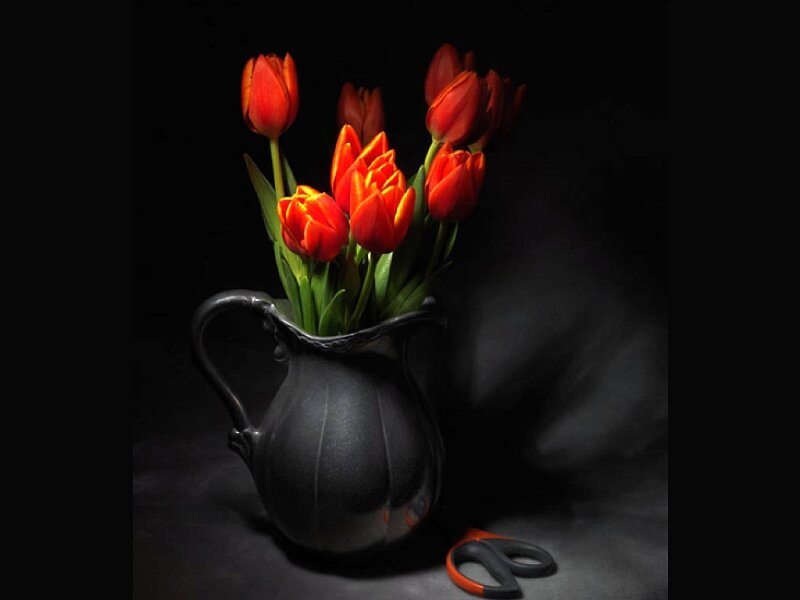 Red Tulips in Pitcher