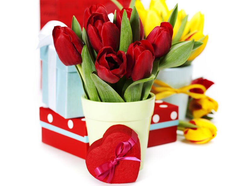 Red Tulips in Pot