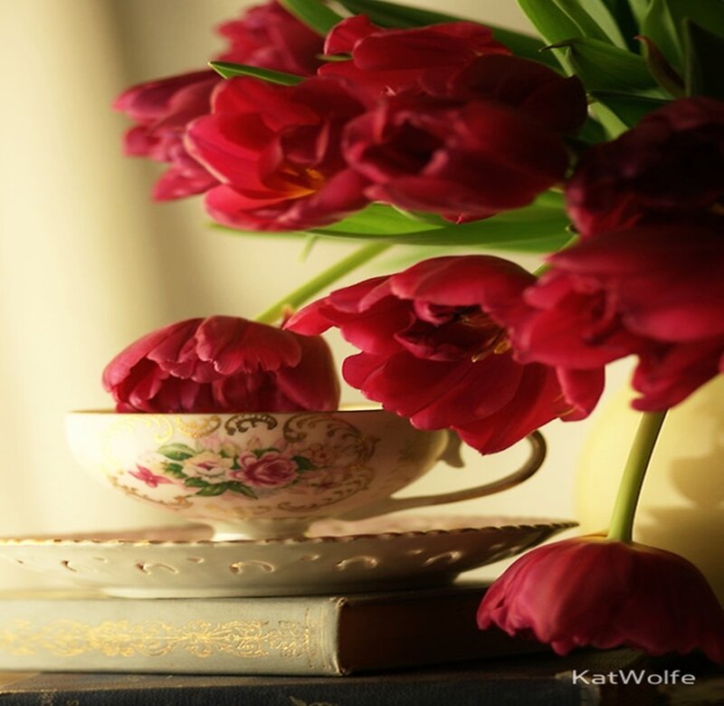 Red Tulips in Teacup — Serene