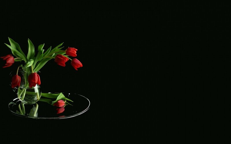 Red Tulips in Vase — Black, Dramatic, Photograph