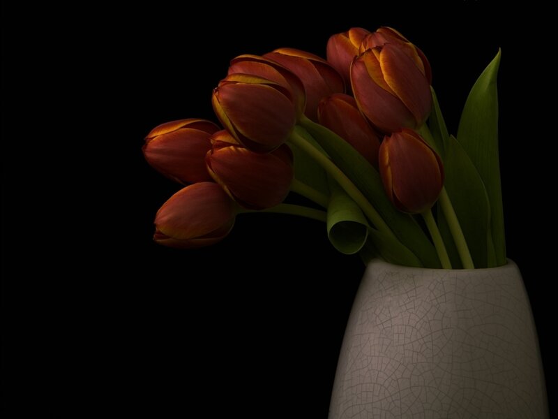 Red Tulips in Vase — Black