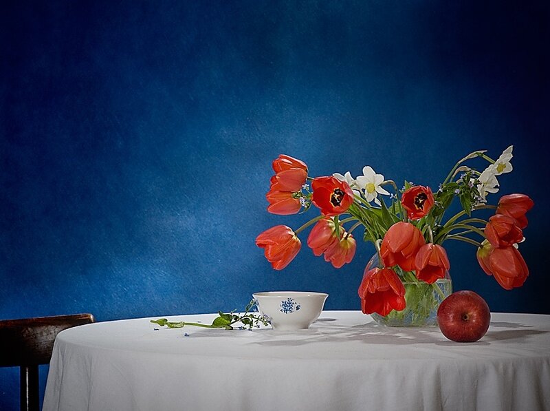Red Tulips in Vase — Blue