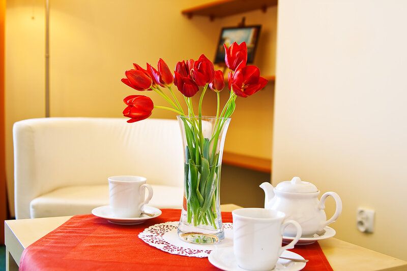 Red Tulips in Vase — Calm, Morning