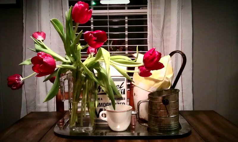 Red Tulips in Vase — Calm, Night, Photograph