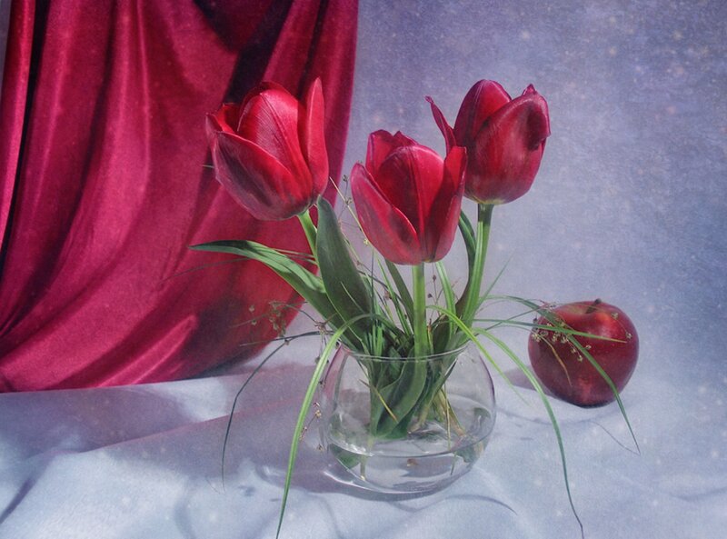 Red Tulips in Vase — Calm, Photograph, Apple