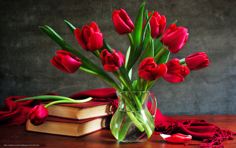 Red Tulips in Vase — Calm, Photograph, Books, Cloth