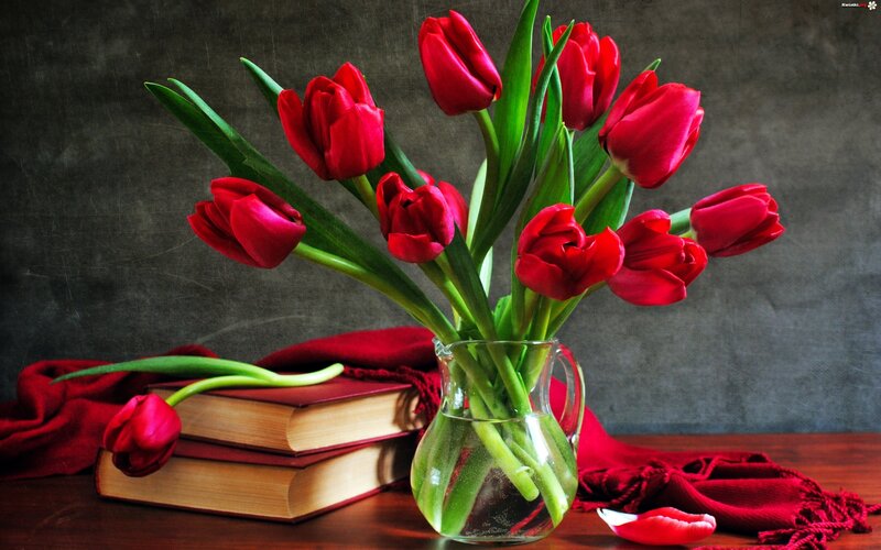 Red Tulips in Vase — Calm, Photograph, Books, Scarf, Table