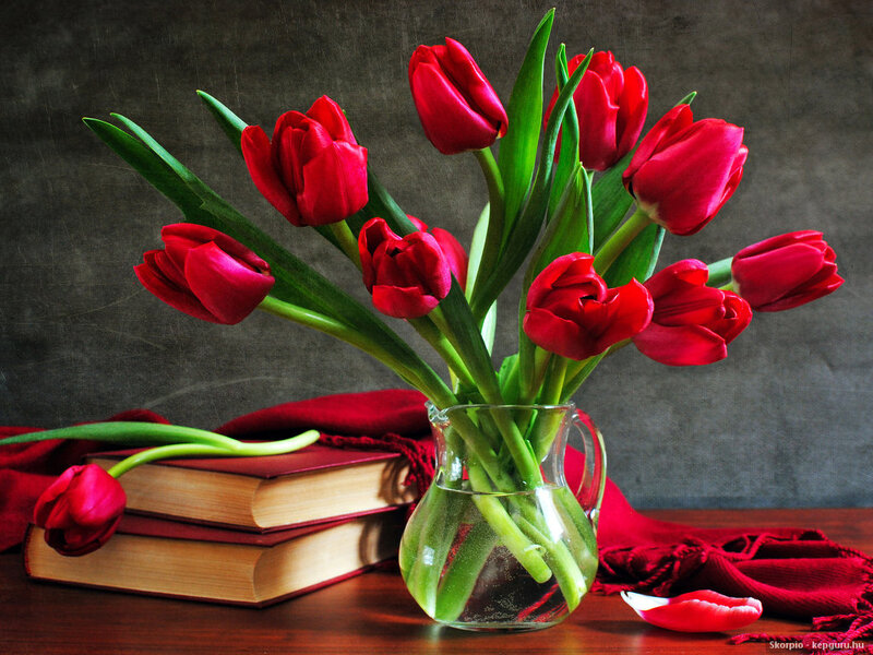 Red Tulips in Vase — Calm, Photograph, Books, Scarf