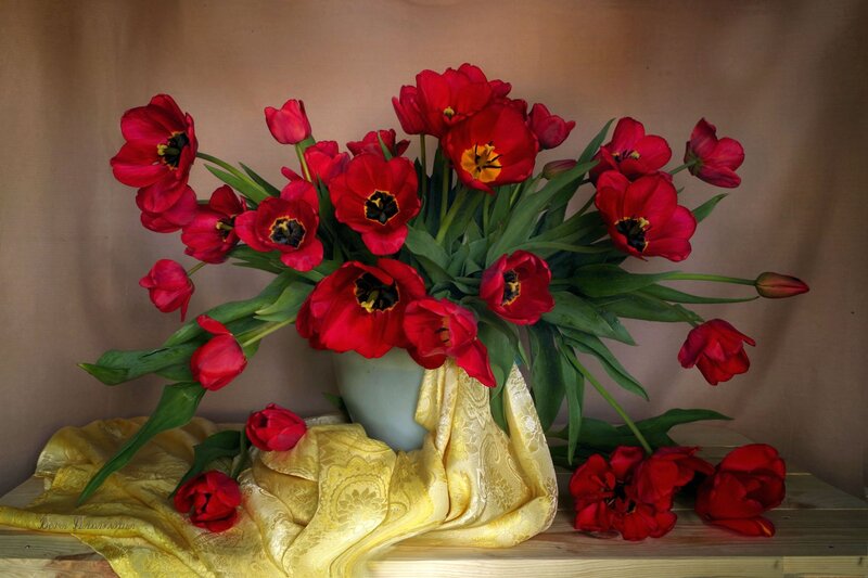 Red Tulips in Vase — Calm, Photograph, Cloth