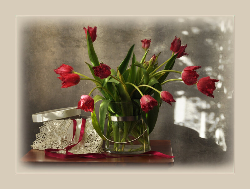 Red Tulips in Vase — Calm, Photograph, Lace, Ribbon