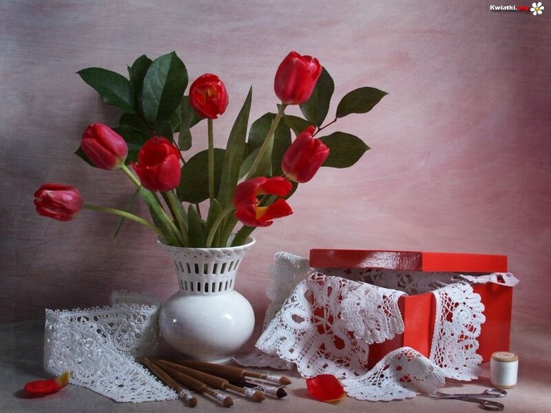 Red Tulips in Vase — Calm, Photograph, Lace, Scissors