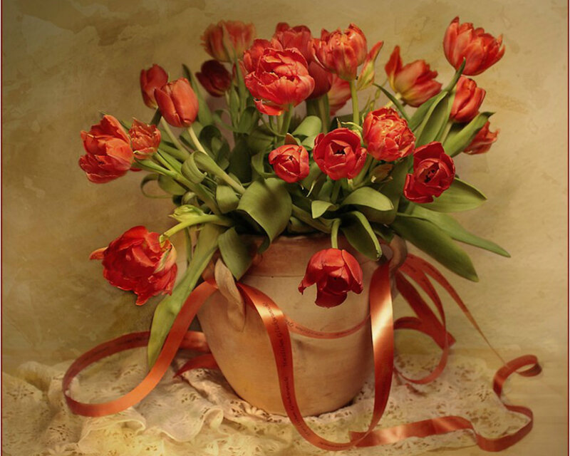 Red Tulips in Vase — Calm, Photograph, Ribbon, Lace