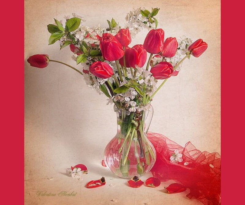 Red Tulips in Vase — Calm, Photograph, White Flowers