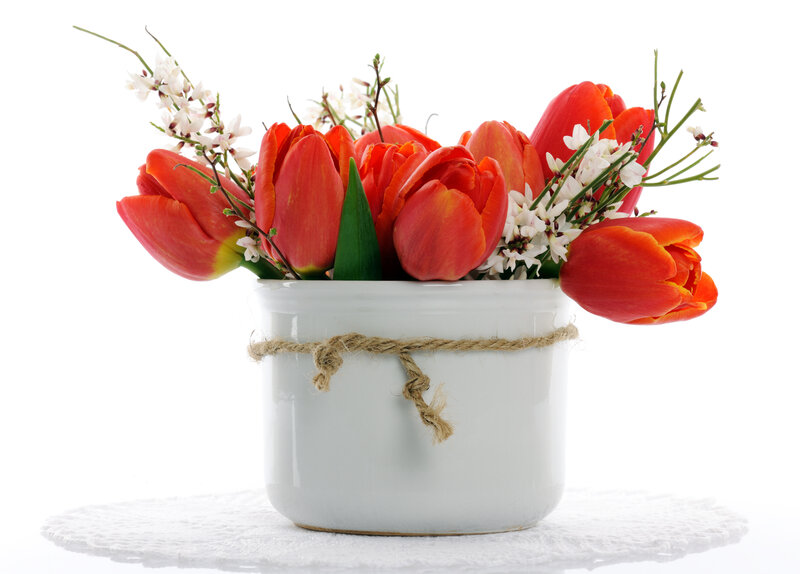 Red Tulips in Vase — Calm, Spring, Photograph
