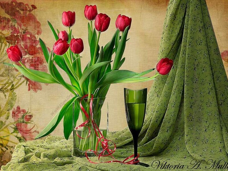 Red Tulips in Vase — Calm