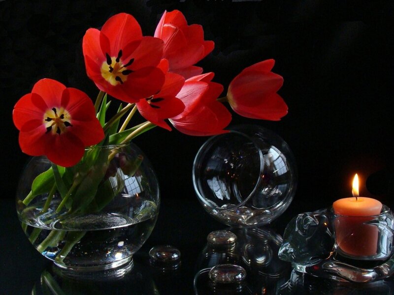 Red Tulips in Vase — Dramatic, Night, Photograph, Candle, Glass Bowl, Reflection