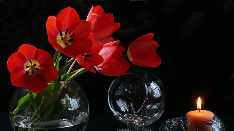 Red Tulips in Vase — Dramatic, Night, Photograph, Candle, Glass Bowl